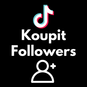 tiktok followers2